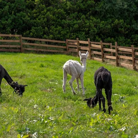 Event-bauernhof Zum Feiern Mit 56 Betten